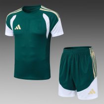 2026 AD Green High Quality Player Version Training Short Suit (球员套装)