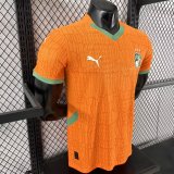 25-26 Cote d'Ivoire Home Player Version Soccer Jersey