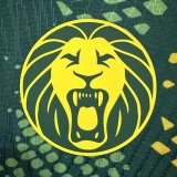 25-26 Cameroon Home Player Soccer Jersey