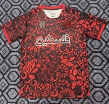 25-26 Palestine Special Edition Fans Soccer Jersey