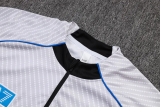 25-26 Napoli High Quality Half Pull Tracksuit