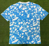 2023 Aja× Blue White Training shirts