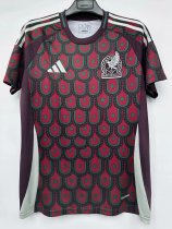 24-25 Mexico Home Fans Version Soccer Jersey 24-25 Mexico Home Fans Version Soccer Jersey