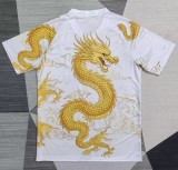 25-26 Porto Special Edition Fans Soccer Jersey