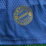 26-27 Bayern Blue Grey Player Version Training Shorts Pants(球员短裤)