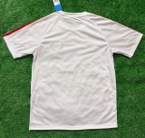 26-27 Sevilla Special Edition Fans Training Shirts
