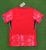 2024 Korea Home Fans Soccer Jersey