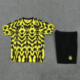 25-26 Dortmund High Quality Polo Tracksuit