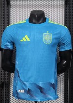 2026 Spain GoalKeeper Player Version Soccer Jersey 2026 Spain GoalKeeper Player Version Soccer Jersey
