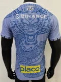 25-26 Santos FC Blue Special Edition Player Version Training Shirts