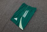 2025 AD Player Version Training Short Suit —Green 绿色
