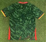 25-26 Cameroon Home Fans Soccer Jersey