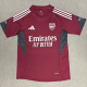 25-26 ARS Brown Red Training shirts