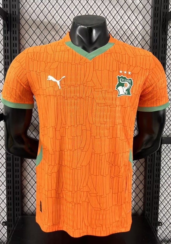 25-26 Cote d'Ivoire Home Player Version Soccer Jersey
