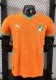 25-26 Cote d'Ivoire Home Player Version Soccer Jersey