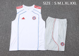 25-26 Bayern High quality Tank Top And Shorts Suit