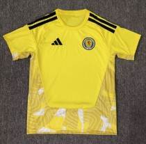25-26 Scotland Yellow GoalKeeper Fans Soccer Jersey 25-26 Scotland Yellow GoalKeeper Fans Soccer Jersey