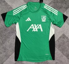 25-26 LIV Green Fans Training shirts