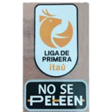 25-26 Universidad Católica White Special Edition Fans Soccer Jersey