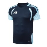 2026 AD Blue High Quality Player Version Training Short Suit (球员套装)