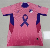 25-26 Hoffenheim Pink Special Edition Fans Soccer Jersey