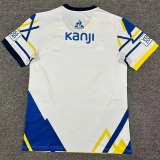 25-26 Rosario Central Away Fans Soccer Jersey 1:1 Thai Quality