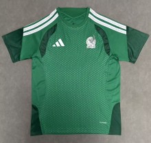 25-26 Mexico Green Special Edition Fans Training shirts