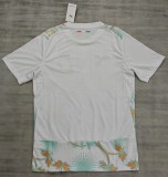 2026 Cote d'Ivoire Away Fans Soccer Jersey