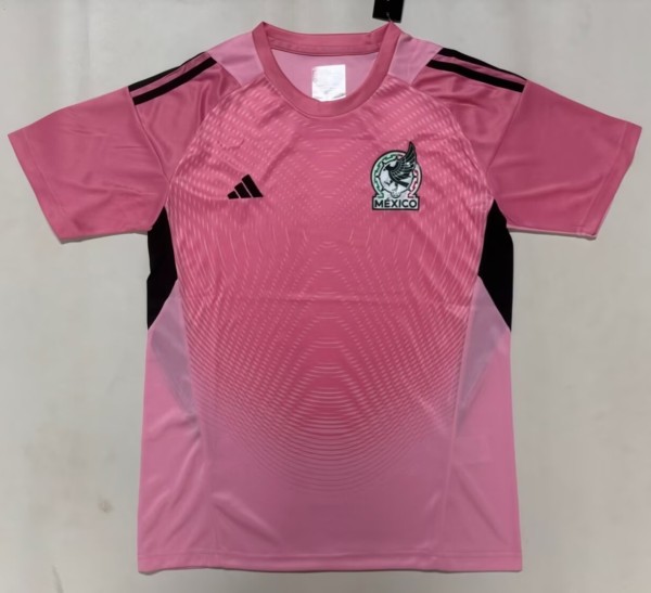 2026 Mexico Pink Goalkeeper Fans Soccer Jersey