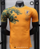 24-25 Japan Special Edition Player VersionSoccer Jersey