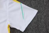 26-27 Brazil High Quality Training Short Suit