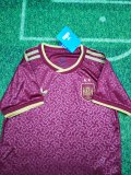 2026 World Cup Spain Third Kids Soccer Jersey (With 2 Star)*两颗星