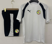 26-27 Senegal High Quality Training Short Suit