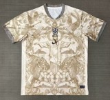 26-27 Brazil Special Edition Fans Soccer Jersey