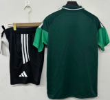 26-27 Celtic  High Quality PoLo Training Short Suit