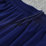25/26 PSG Purple Blue Training vest  Suit