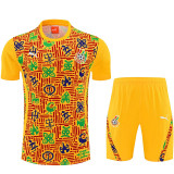 26/27 Ghana Yellow Training Shorts Suit
