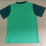 24/25 Palmeiras Apple green Polo shirts
