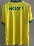 25/26  Palmeiras Yellow Third Fans Soccer Jersey