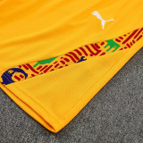 26/27 Ghana Yellow Training Shorts Suit