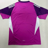 25/26  Italy Goalkeeper Purple  Fans Soccer Jersey