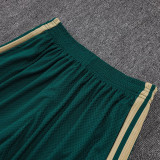 26/27 Italy Green Player Version Shorts Pants#D2603
