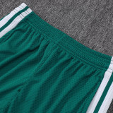 25/26 AD Green Player Version Training Short Suit#D2506