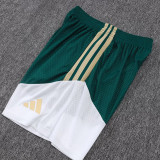 26/27 Italy Green Player Version Shorts Pants#D2603