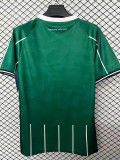 25/26 Werder Bremen Christmas Edition Green Fans Soccer Jersey