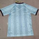 24/25 Denmark Light Blue Special Edition  Fans Soccer Jersey