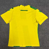 24/25 Nantes Home Fans Soccer Jersey