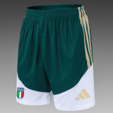 26/27 Italy Green Player Version Shorts Pants#D2603