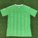 25/26 Man Utd Goalkeeper Green  Fans Soccer Jersey