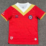 25/26 Argentinos Juniors  Third Fans Soccer Jersey